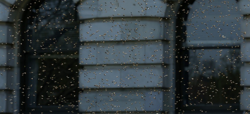 Bees swarm in the air outside of the U.S. Agriculture Department headquarters on April 8, in Washington, D.C. 