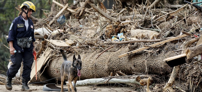 A member of the FEMA Urban Search and Rescue Task Force searches a flood-damaged property with a search canine in the aftermath of Hurricane Helene along the Swannanoa River on Oct. 4, 2024 in Asheville, N.C.