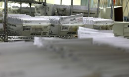 Trays of mail-in ballots are stacked at the Santa Clara County registrar of voters office on Oct. 21, 2024 in San Jose, Calif. Early voting for the 2024 presidential election began on Oct. 7 in California. 