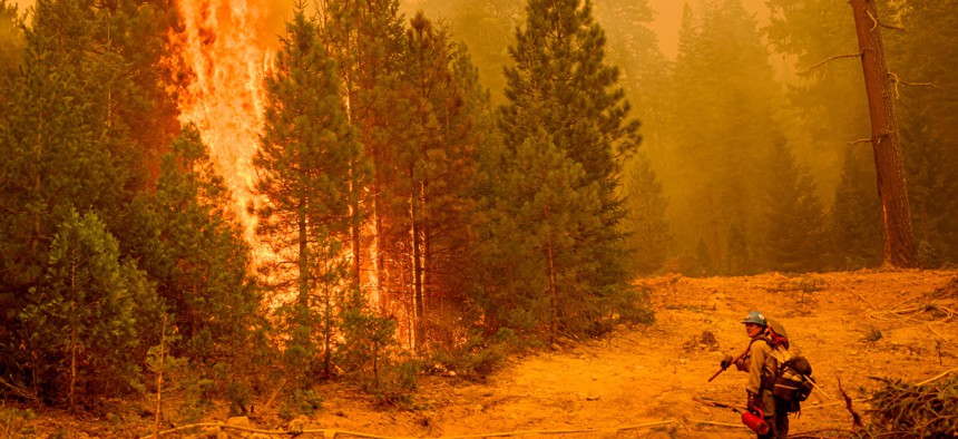 A U.S. Forest Service firefighter monitors backfire during the Park fire in Tehama County's Mill Creek area of California on Aug. 7, 2024. 