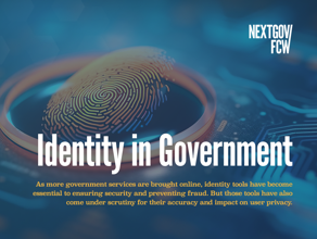 Identity in Government