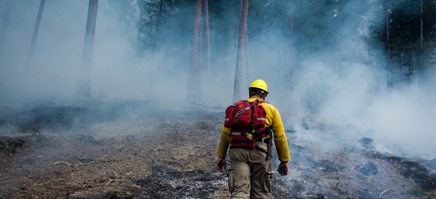 A forest fire information officer walks up a smoldering and smokey patch of forest during the Gibralter Ridge forest fire in Eureka, Montana.