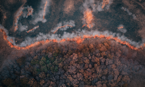 USDA Forest Service observability platform