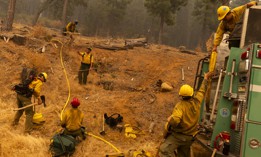 Firefighters with the U.S. Forest Service prepare a hoselay on a hillside during the Park Fire in Tehama County, Calif., on July 27, 2024. 