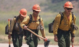 U.S. Forest Service firefighters walk as the Post Fire burns through Castaic, California, June 16, 2024. The Trump administration is proposing to consolidate multiagency federal firefighting operations into a single agency, but does not have funding to do so. 