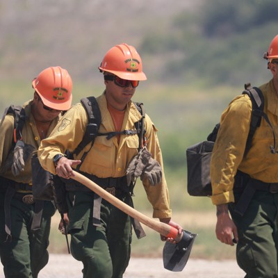 डेमोक्रेट्स ने जंगल की आग, भूमि प्रबंधन पर आंतरिक पुनर्गठन के प्रभाव पर अलार्म बजाया