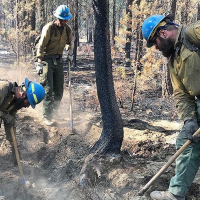 प्रोपब्लिका की रिपोर्ट के बाद, अमेरिकी वन सेवा ने पीएफएएस युक्त फायरफाइटर पैंट जारी करना बंद कर दिया है