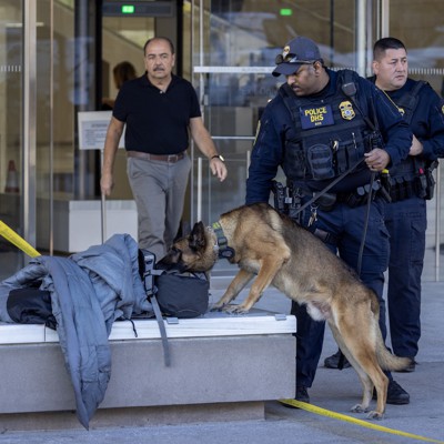 Migrants who attack federal law enforcement animals could face ...