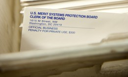 The case stemmed from the 2025 firings of two immigration judges—Megan Jackler and Brandon Jaroch—in which the Justice Department cited Article II of the Constitution as the sole basis for their removal.