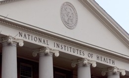 Despite there being a process for a "text analysis tool" to flag certain words in grant paperwork, National Institutes of Health employees say they have not been provided with a list of terms that prompt additional scrutiny. 
