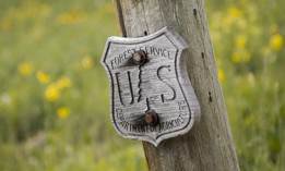 An independent arbitrator last week found that the U.S. Forest Service violated its union contract when it implemented President Trump's return to office mandate last year.