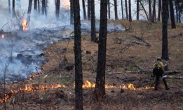 Under new regulations from the Office of Personnel Management, beginning next month federal firefighters will be eligible for hazard pay in connection with their work on prescribed burns.