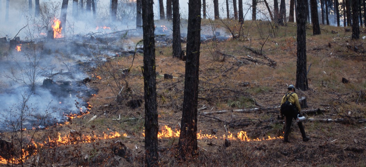 Under new regulations from the Office of Personnel Management, beginning next month federal firefighters will be eligible for hazard pay in connection with their work on prescribed burns.