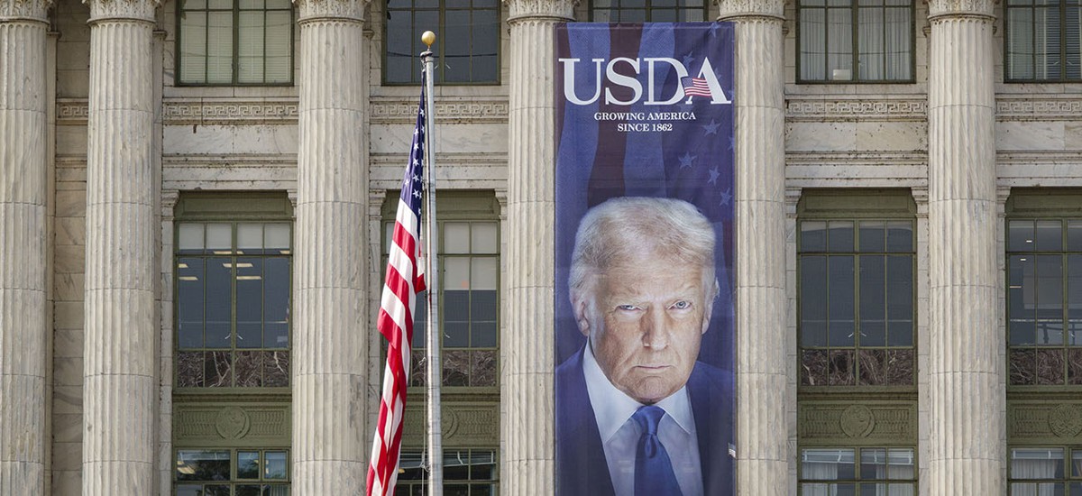 USDA expects no more than 2,000 of the 4,600 employees currently working in the national capital region will remain there after moving staff to five regional hubs being stood up across the country. 