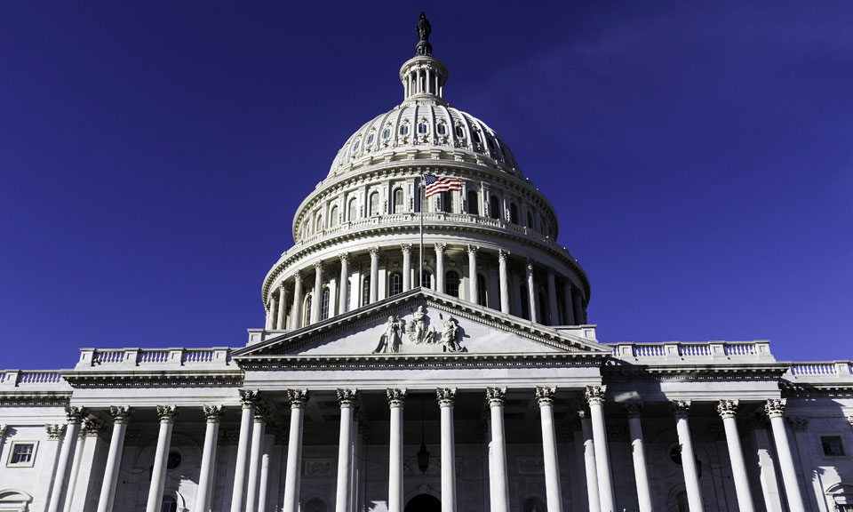essays on american government It's a delight to write an essay on american government as it has a simple and coherent structure if you need some ideas to start, look at next sample. essays on american government It's a delight to write an essay on american government as it has a simple and coherent structure if you need some ideas to start, look at next sample.