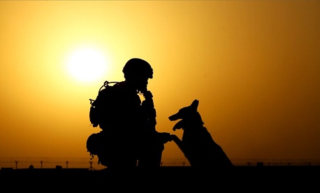 Taliban Take Military Dog Hostage - Defense - GovExec.com