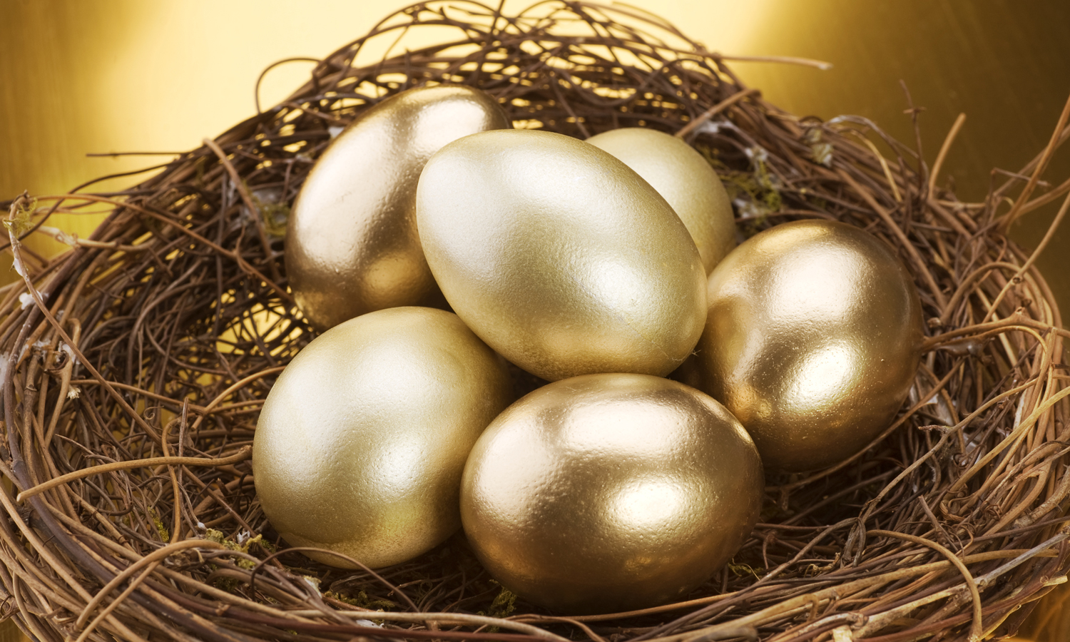 how-your-retirement-nest-egg-adds-up-retirement-planning-pay