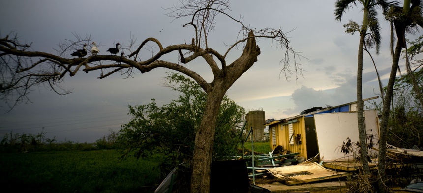 A  home damaged by Hurricane Maria in Toa Baja, Puerto Rico, is shown on Oct. 12. 