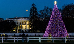 The National Christmas Tree is lit on the Ellipse near the White House on Dec. 2. 