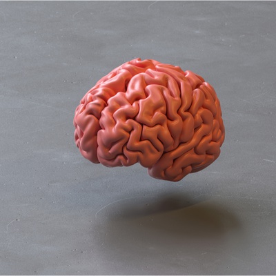 How Your Brain Decides to Put in Effort - Vimarsana News