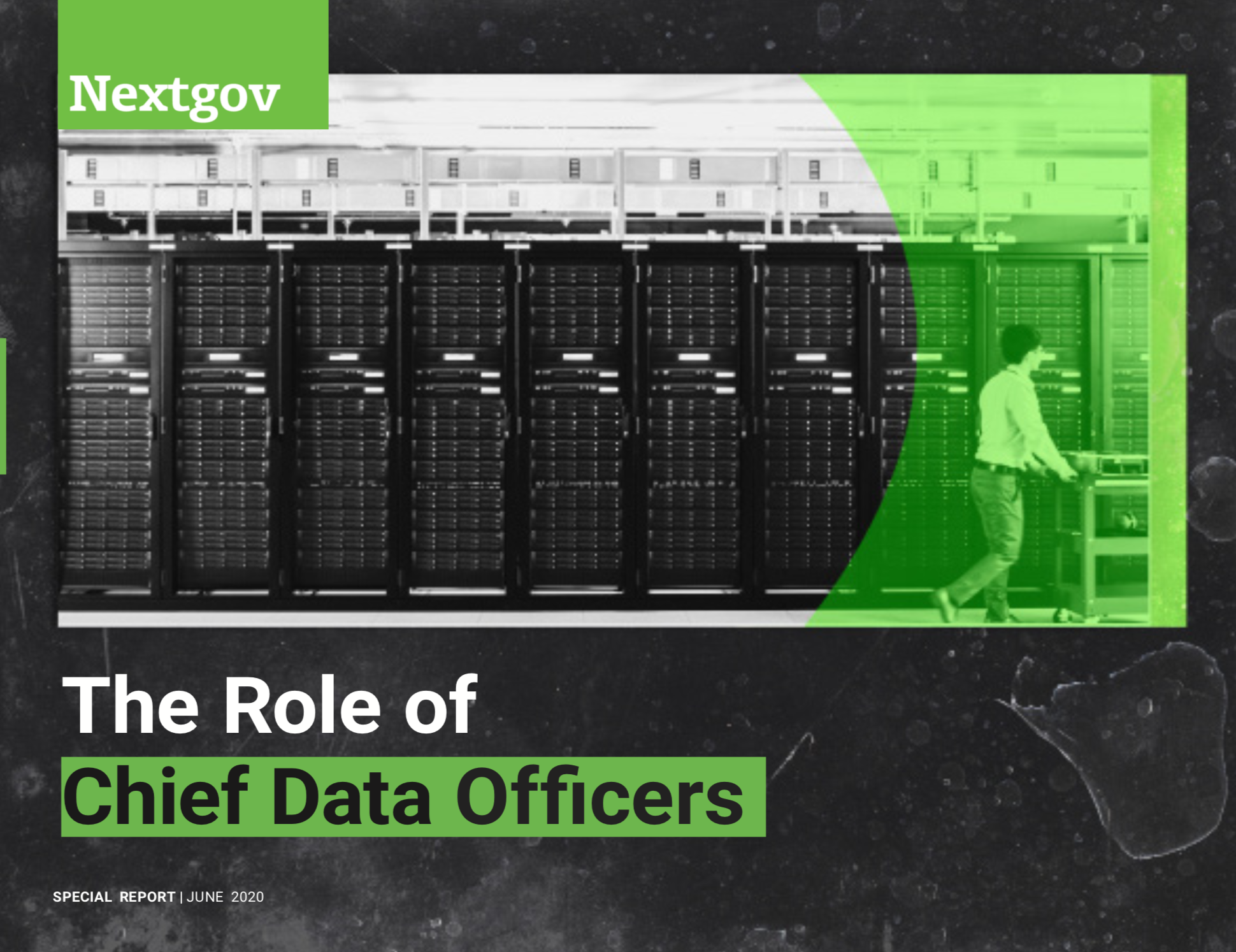 The Role of Chief Data Officers