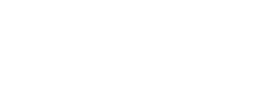 IT Services and Infrastructure